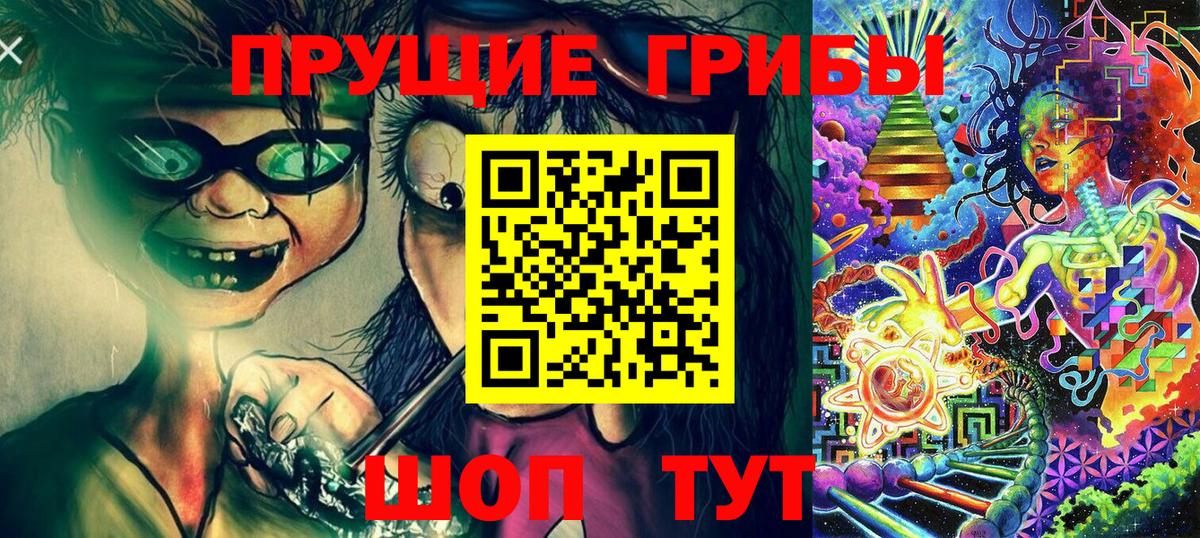 Псилоцибиновые грибы Psilocybine cubensis Ноябрьск
